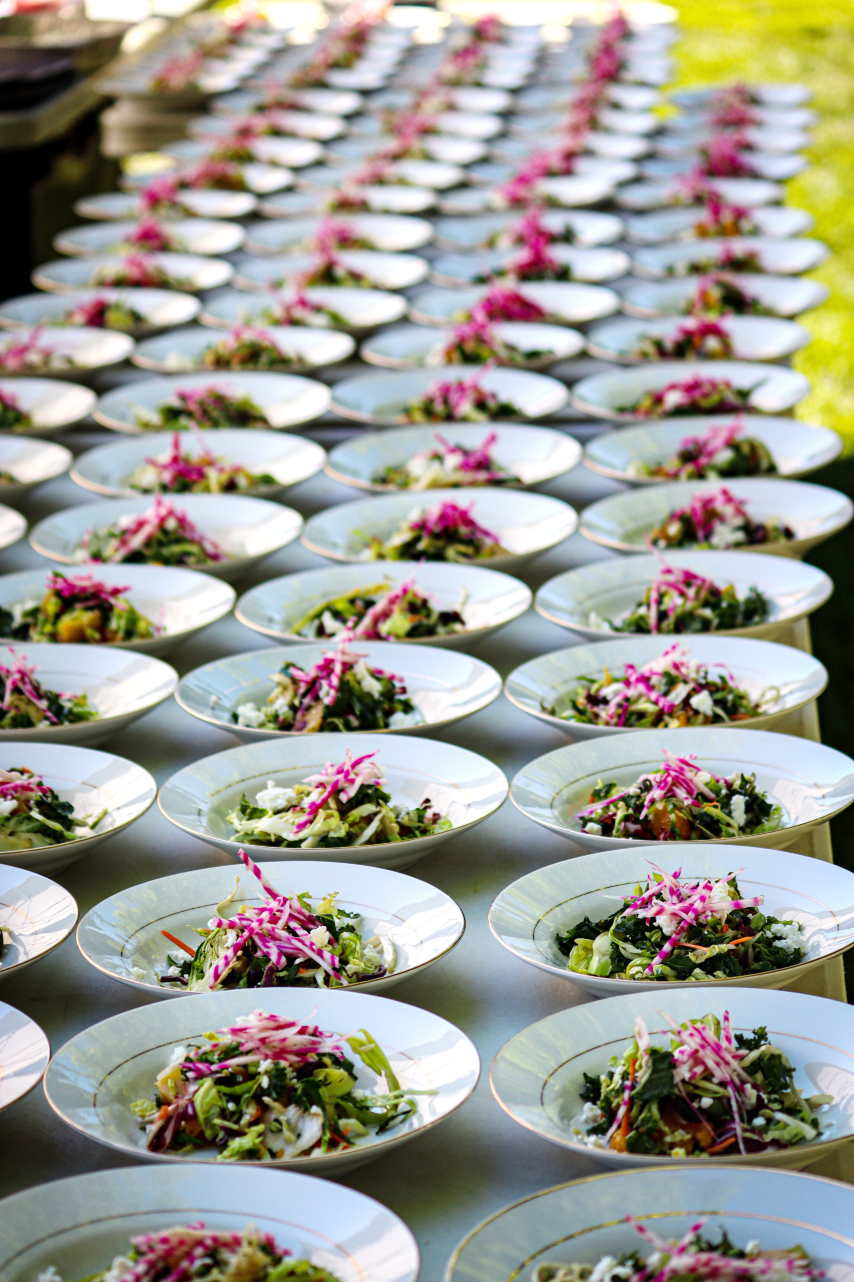 rows of salads made from fresh local greens 