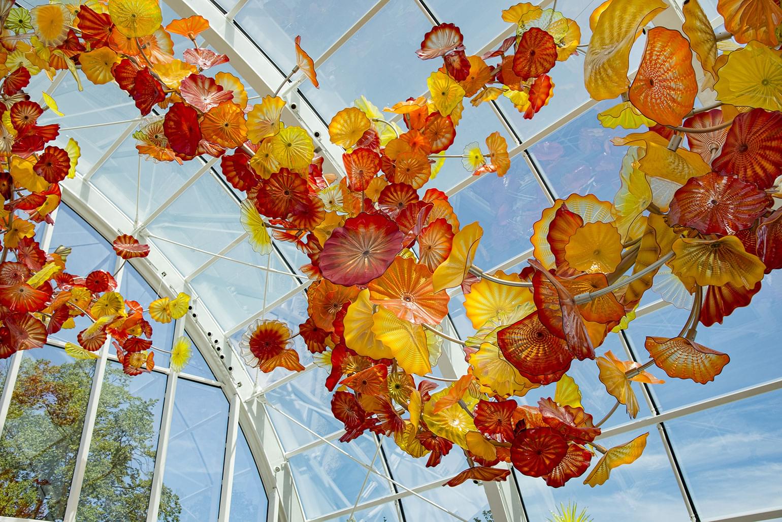 Large Chiluly glass exhibit inside large glass sunroom at the foot of the Space Needle.