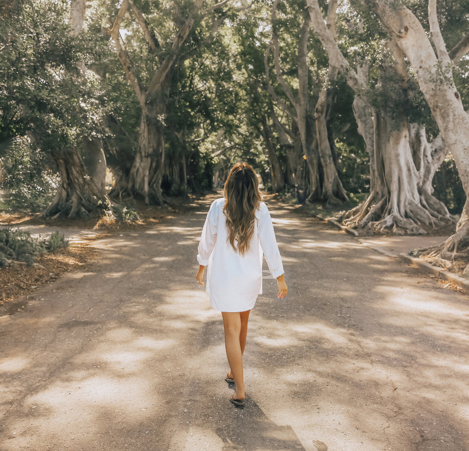 Blogger walking through the banyan trees located in bradenton