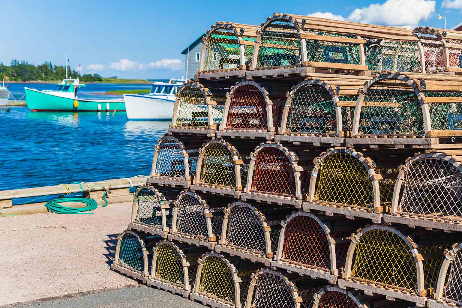 Lobster traps