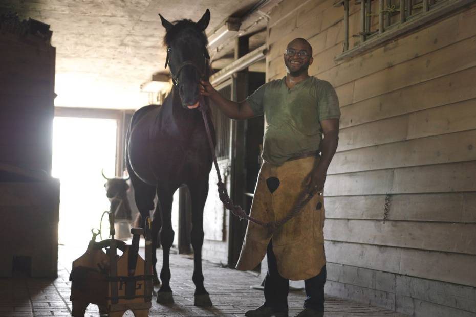 Black Beauty Fabworks