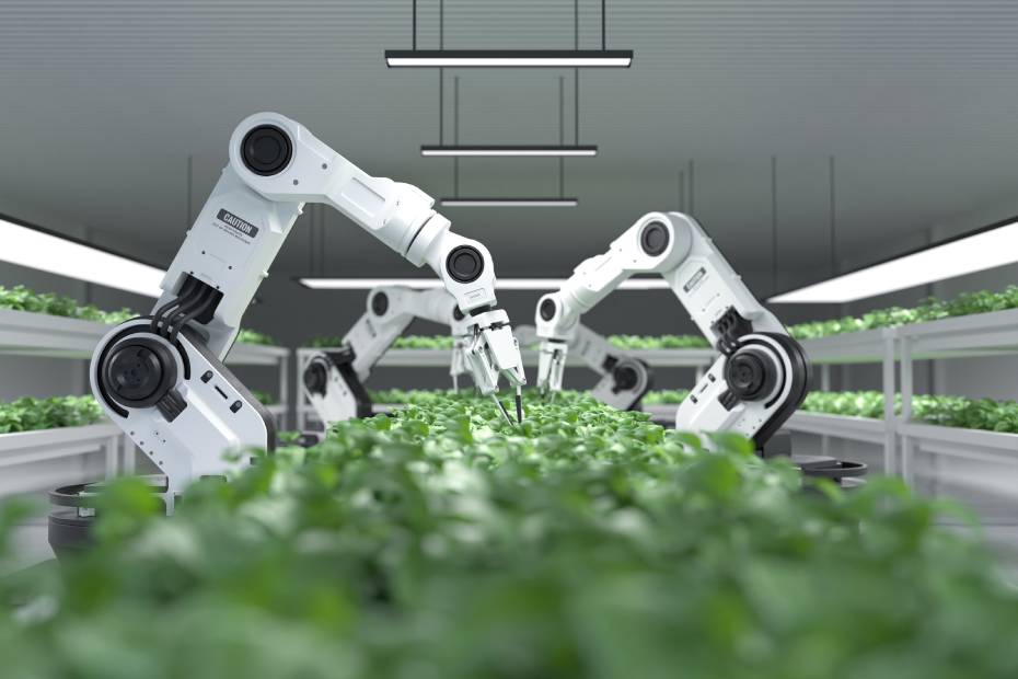 Robotic arms tend to plants in the emerging cannabis industry.