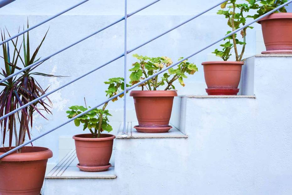 A picture showing 5 pots of plants, one on each step of a staircase.