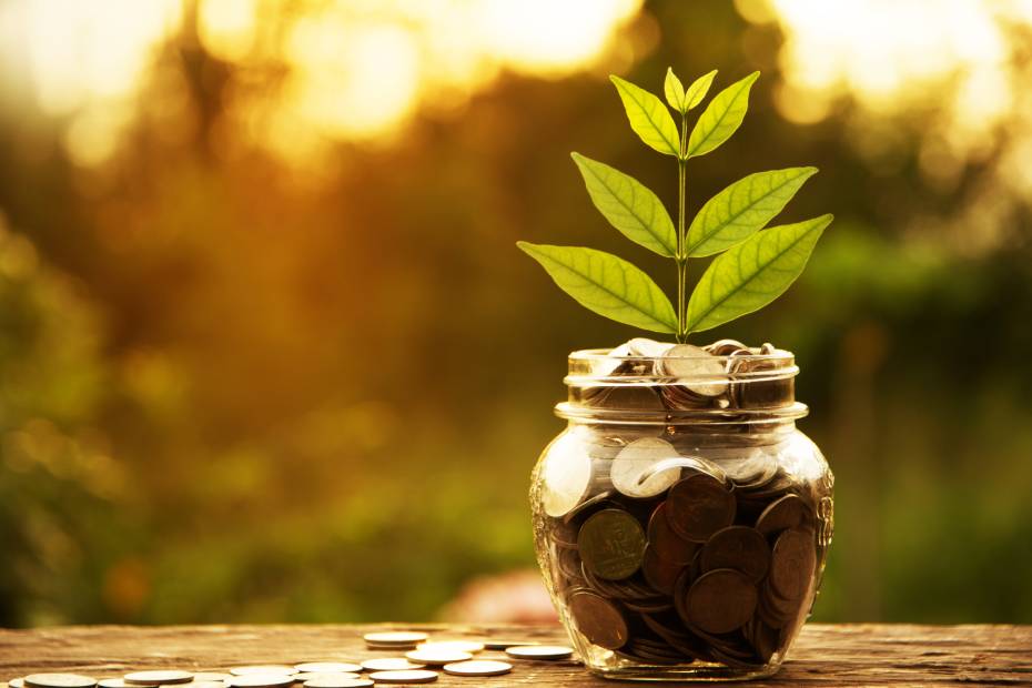 A jar of coins with a plant growing out of it