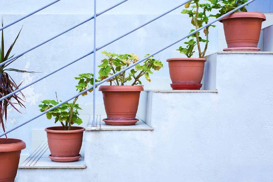 A picture showing 5 pots of plants, one on each step of a staircase.