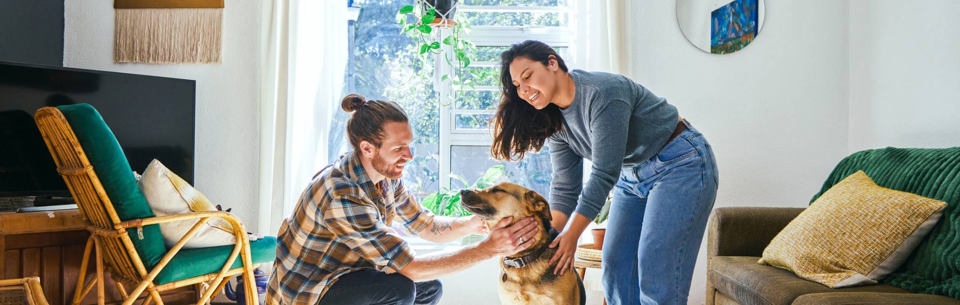A young couple barefoot in their apartment living room, playing with a German Shepard