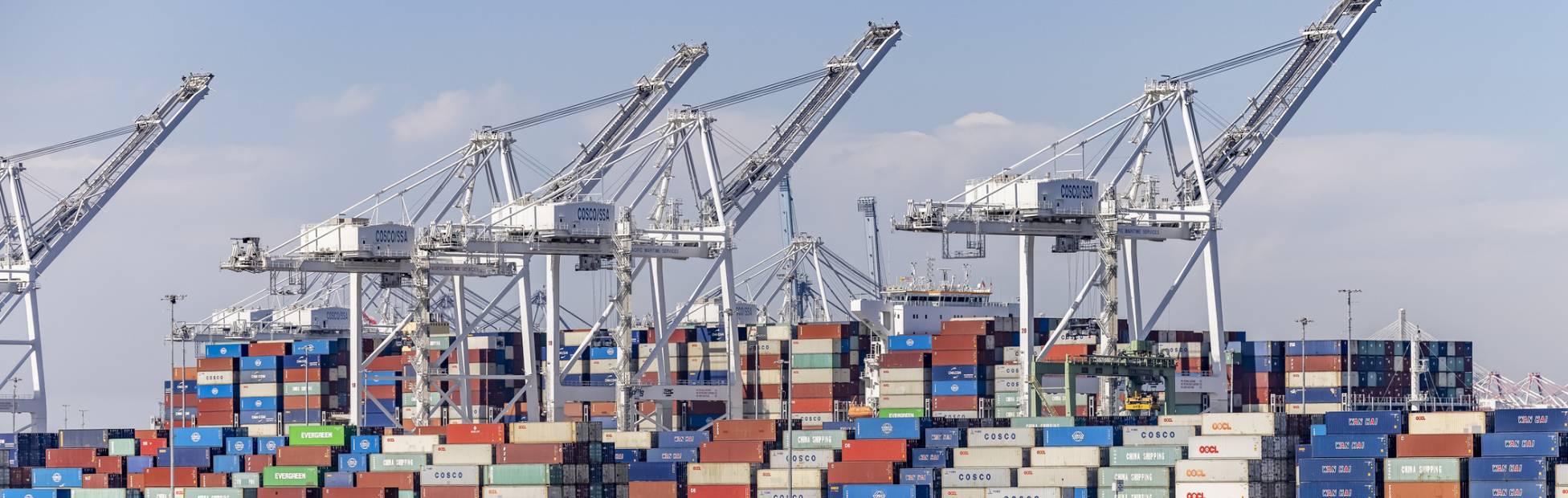 An international port with stacks of shipping containers and cranes