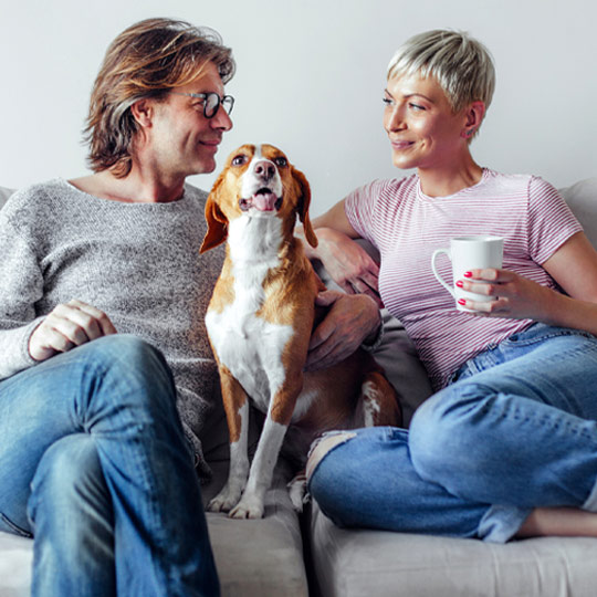 Couple sitting on couch with their dog