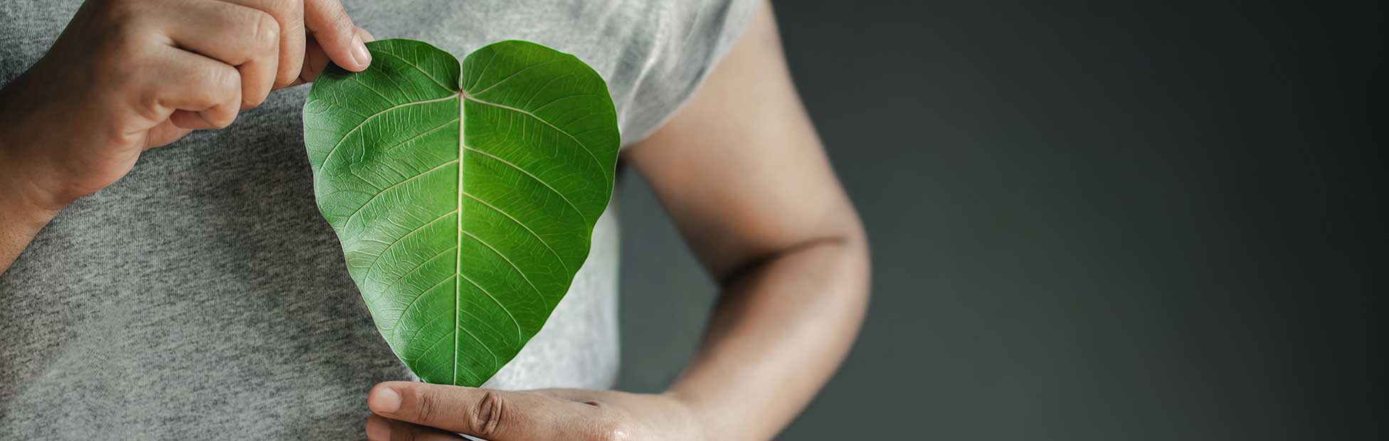 A person holding a leaf