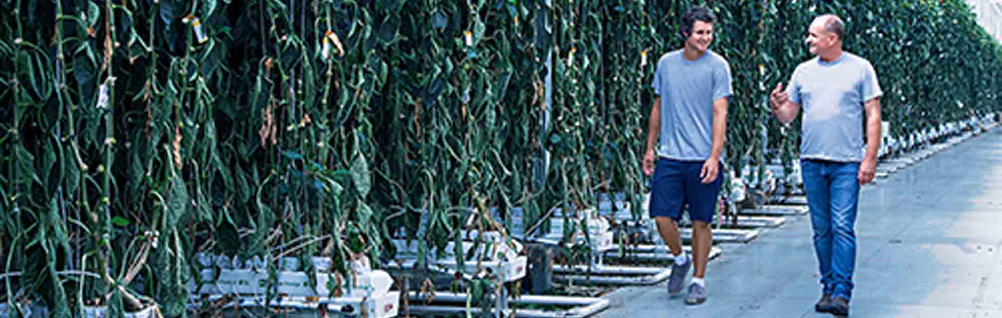 2 farmers talking