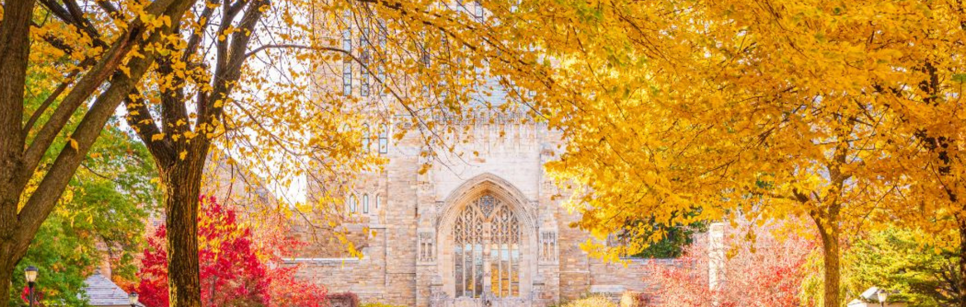 Beautiful fall colours on trees with unknown US College in the background