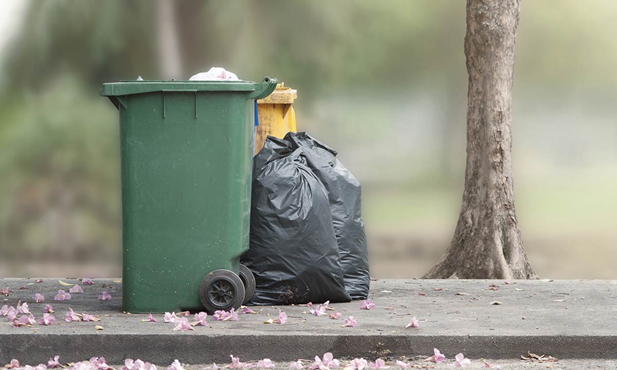 garbage day garbage day