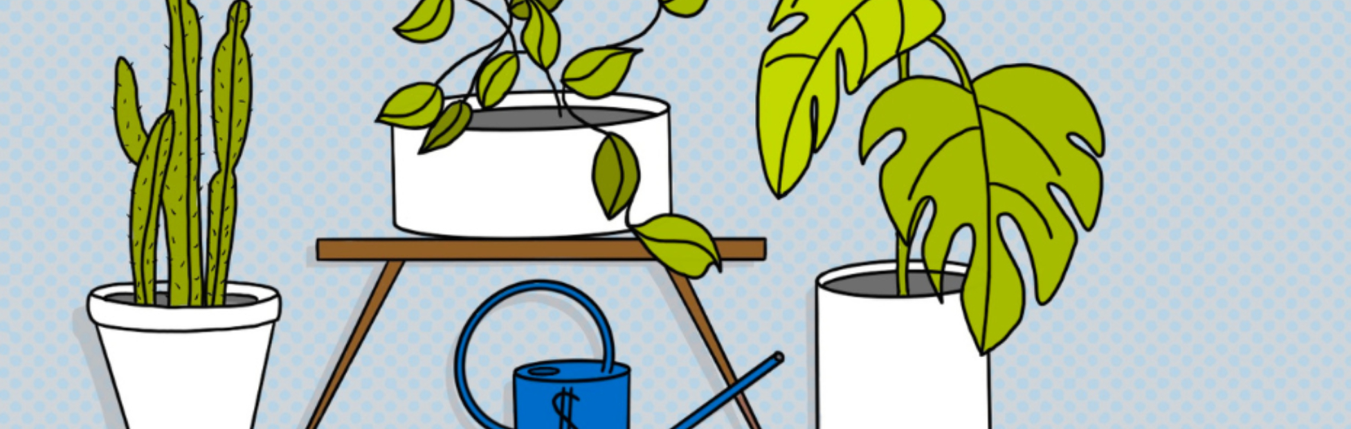 Illustration of different plants and their similarities to account types