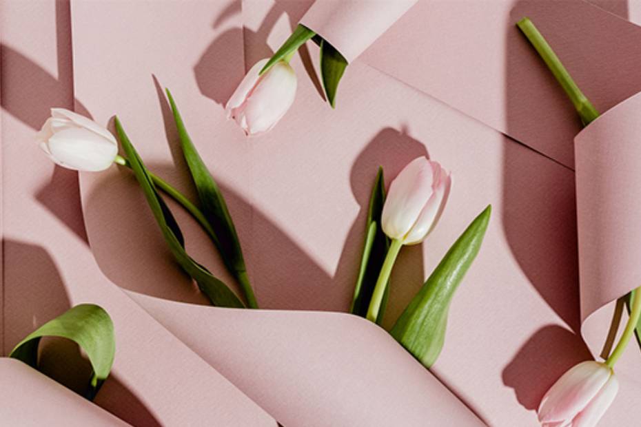 Five tulips resting on pink fabric.