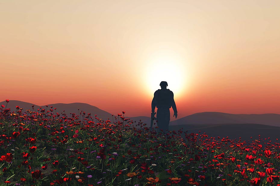 A field of poppies with the shadow of a World War I veteran walking into the distance, symbolizing Canadian Remembrance Day