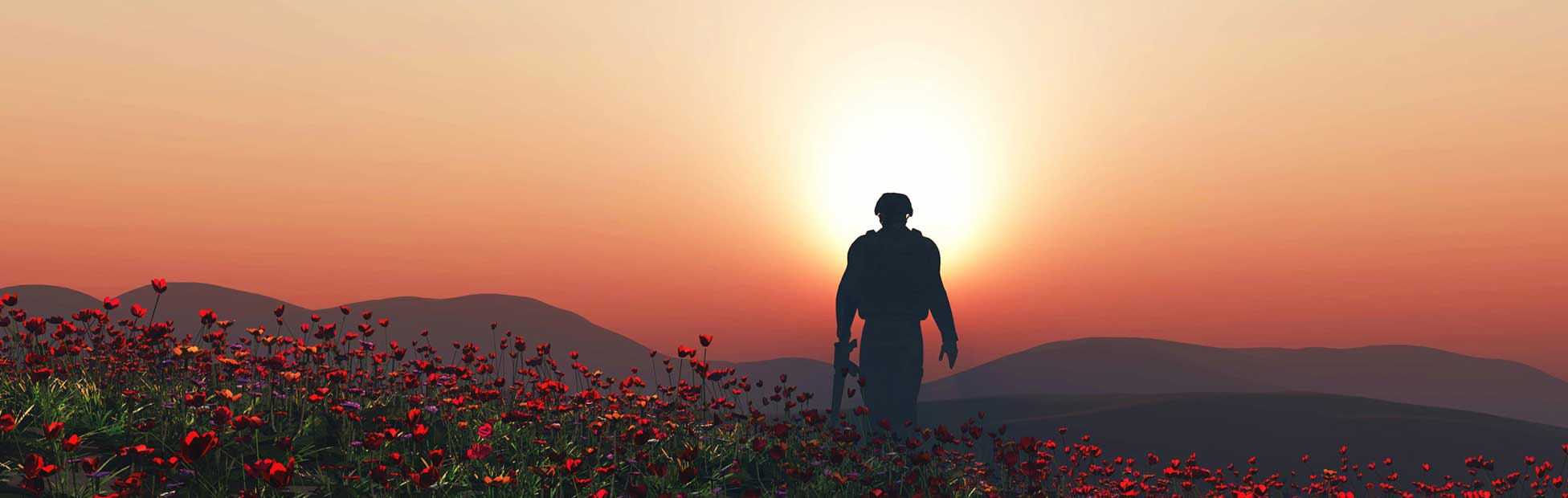 A field of poppies with the shadow of a World War I veteran walking into the distance, symbolizing Canadian Remembrance Day
