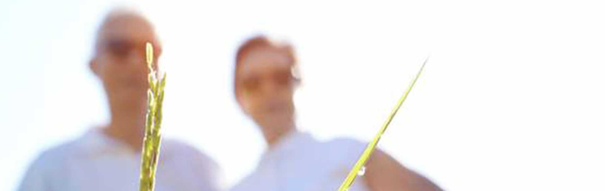 Retirement Discover &amp; Learn RBC Royal Bank